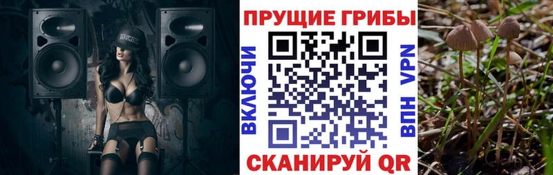 Псилоцибиновые грибы ЛСД Таруса