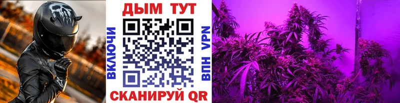 Бошки Шишки MAZAR Таруса